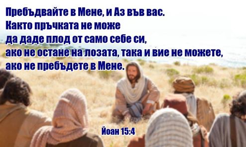 0 (11)_2200198.jpg