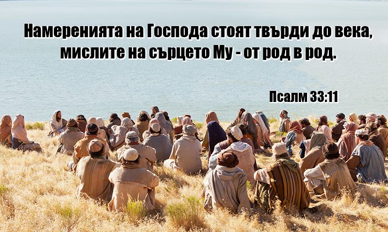 0 (11).jpg