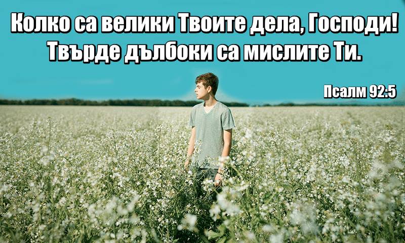 0 (13).jpg
