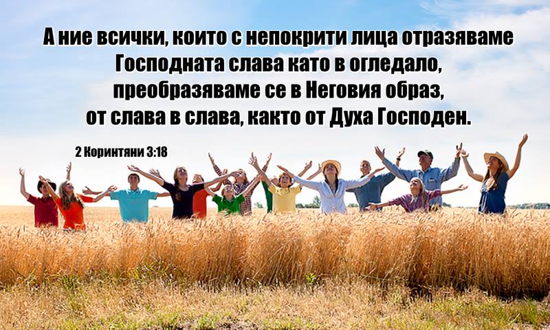 0 (15)_2192116.jpg