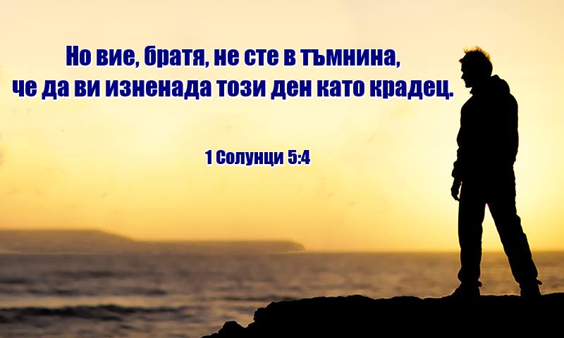 0 (16).jpg