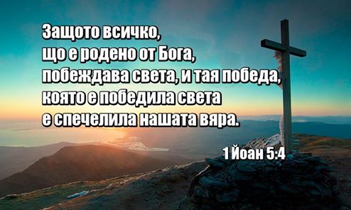 0 (17).jpg
