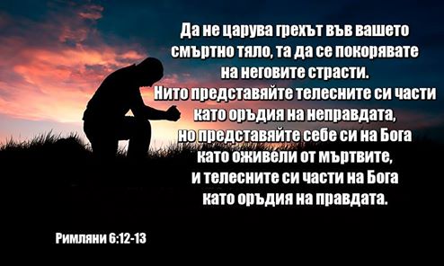 0 (18)_2192119.jpg