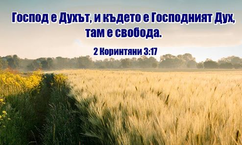 0 (18).jpg