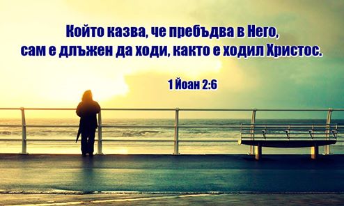 0 (20).jpg