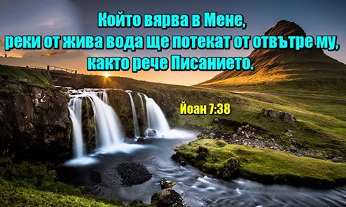 0 (21).jpg