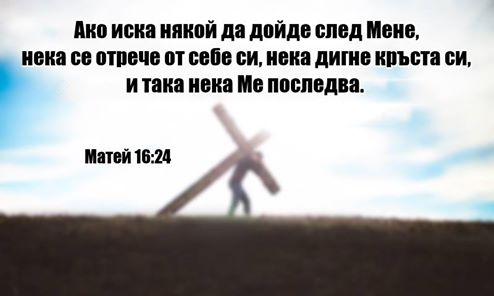 0 (22).jpg