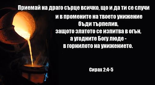 0 (23).jpg
