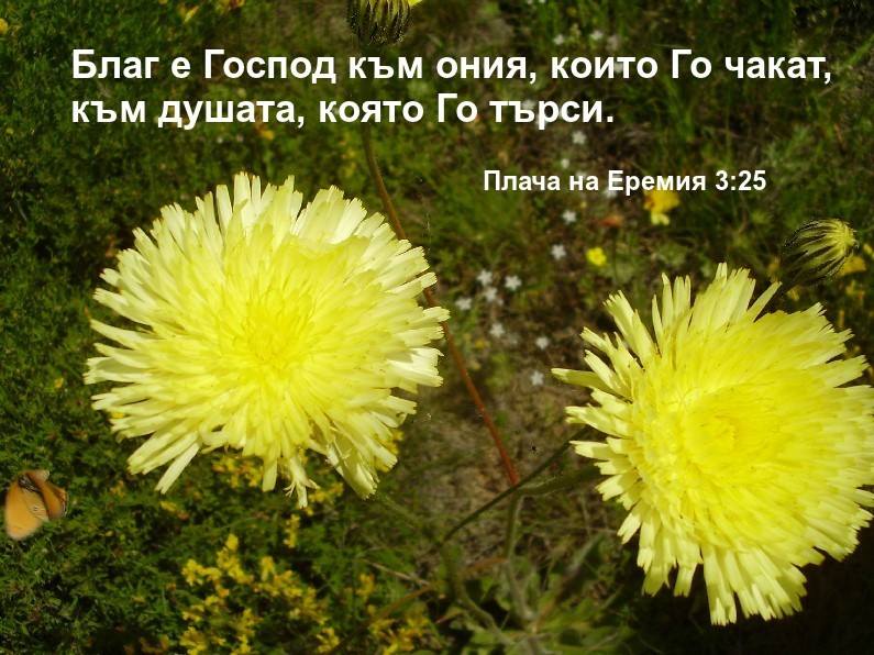 0 (24)_2192125.jpg