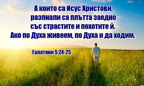0 (26).jpg