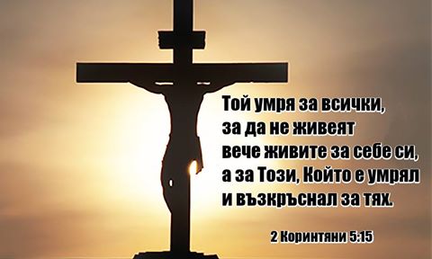 0 (3)_2192093.jpg