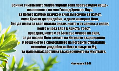 0 (5)_2192098.jpg