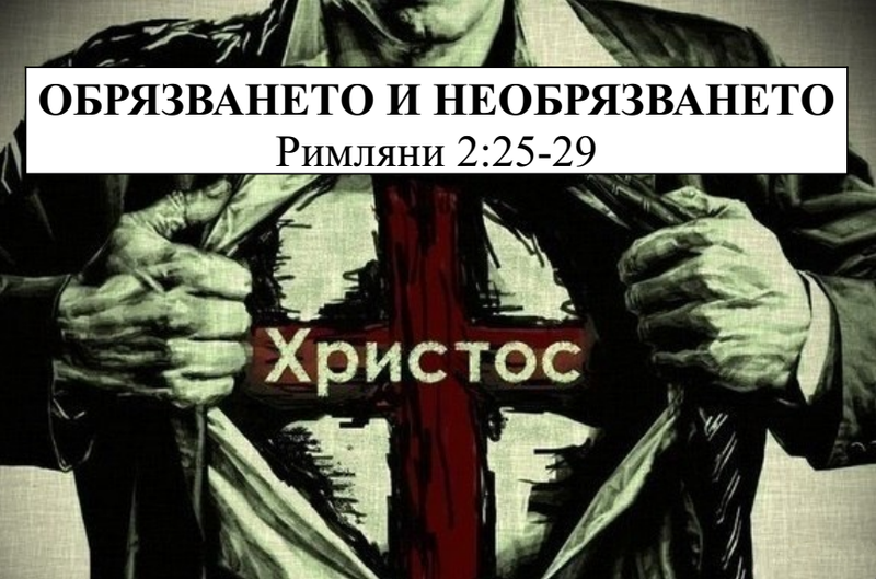 s800 (16).png